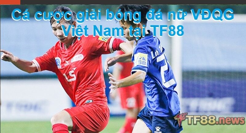 Cá cược giải bóng đá nữ VĐQG Việt Nam tại TF88