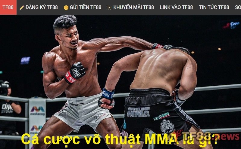 Cá cược võ thuật MMA là gì?